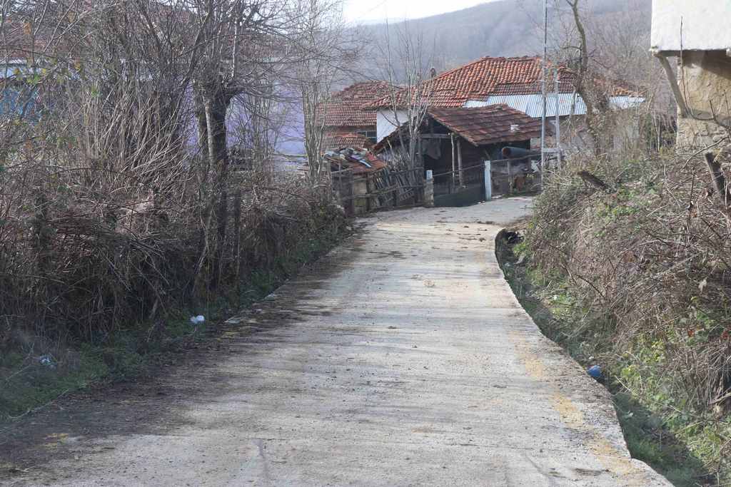 Şeyhresul